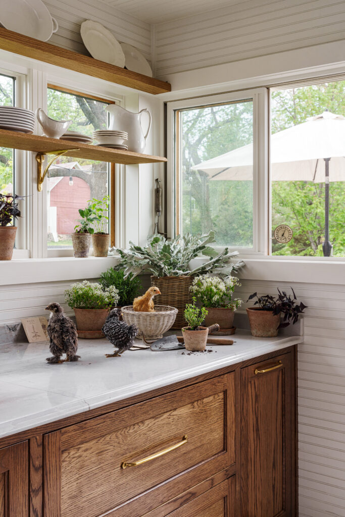 Open shelving in front of windows in pantry